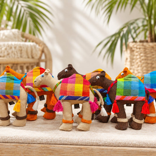 Ngunique Camels — tropical coastal product photography