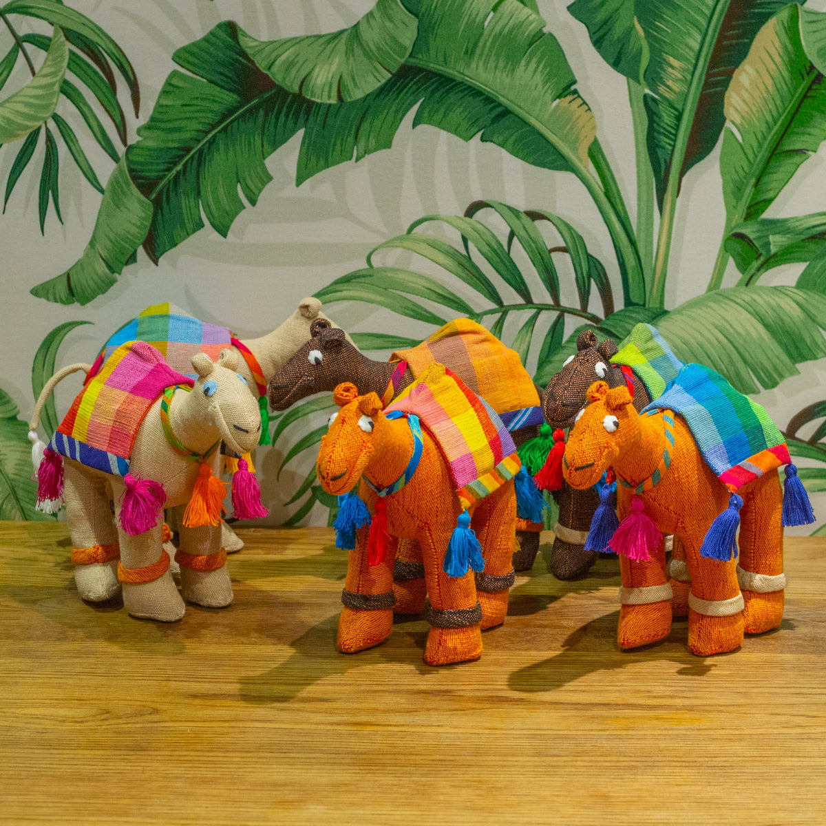 Camels