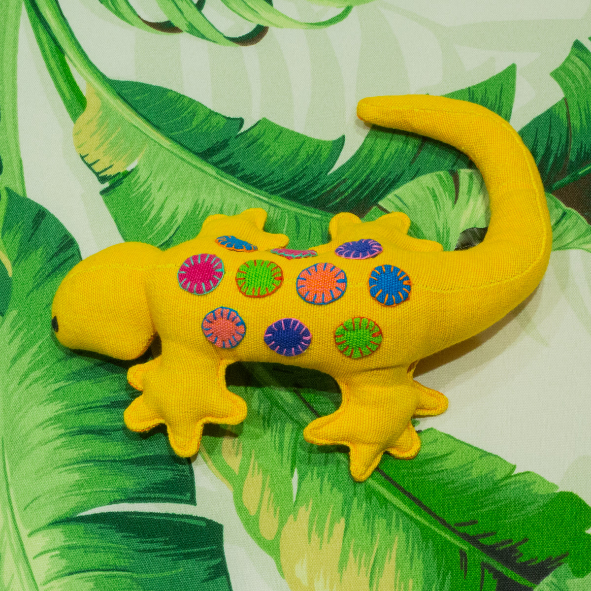 Geckos