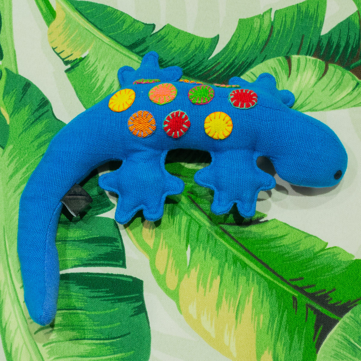 Geckos