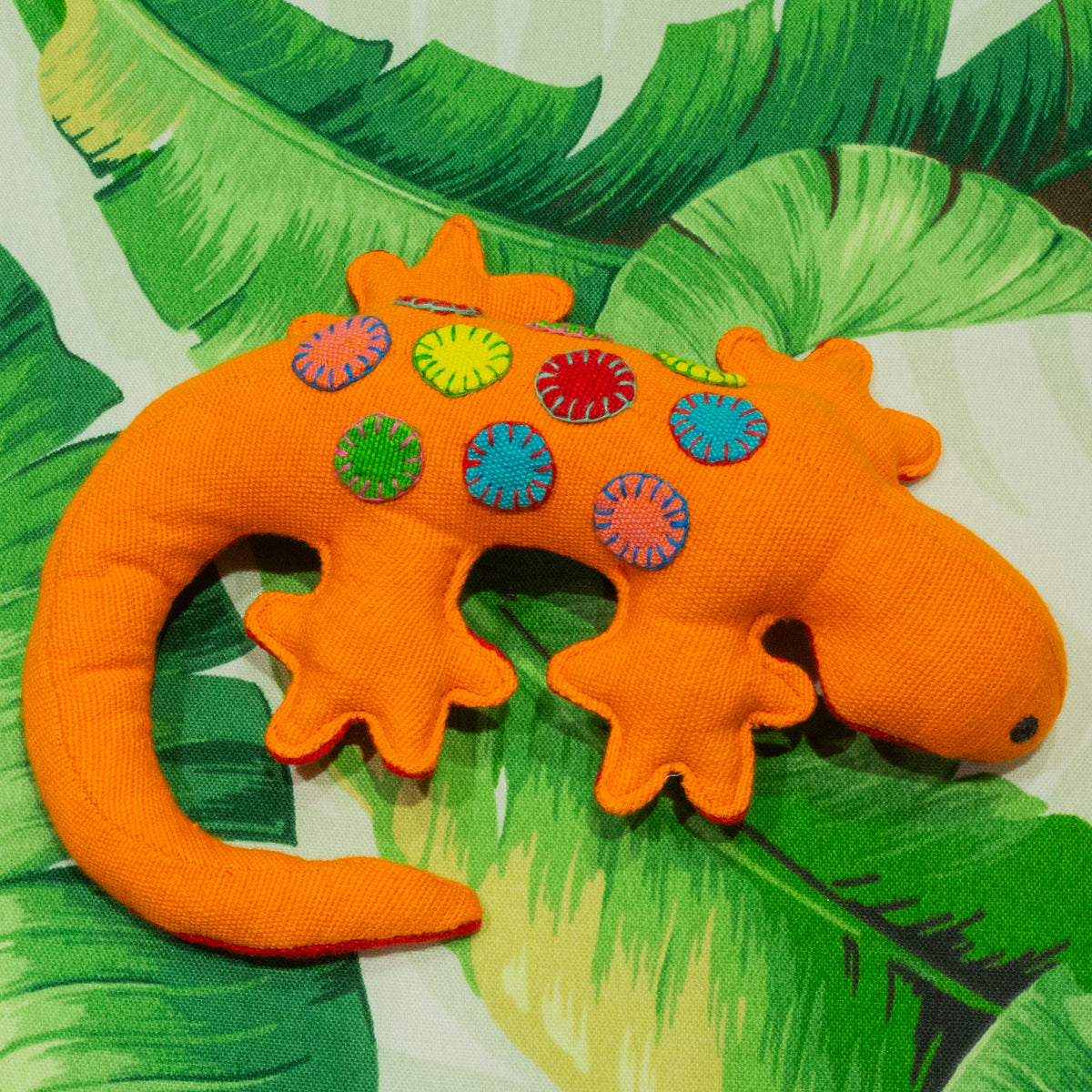 Geckos